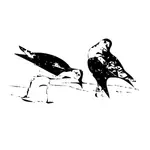 鳥のライン アート ベクトル画像